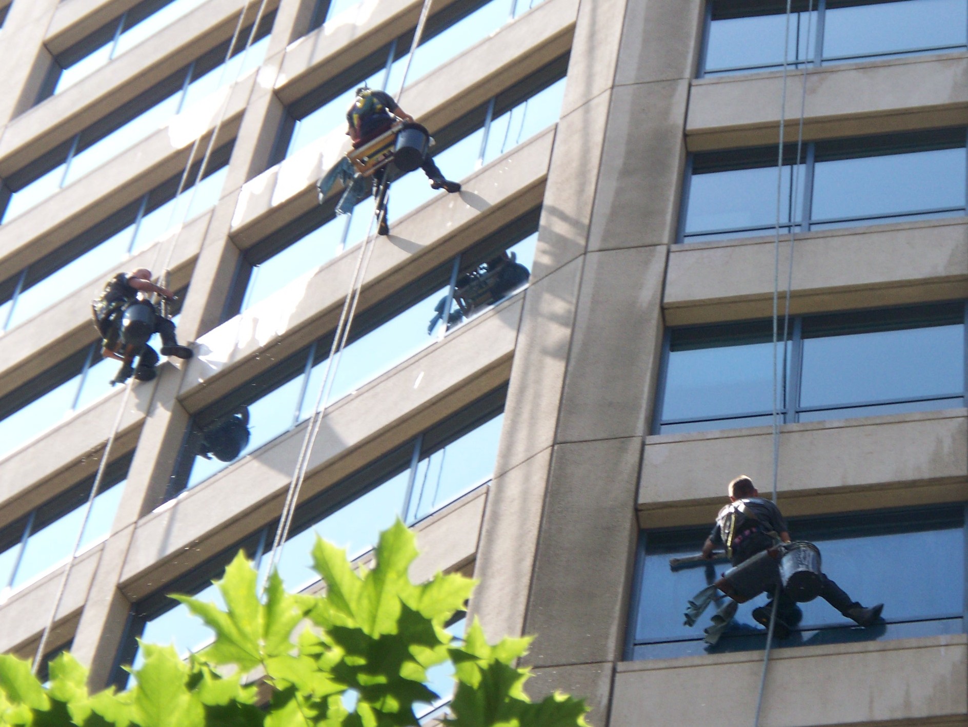 Google-3_Window_Washers_-_Cleaning_the_Westlake_Center_Office_Tower